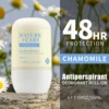 Chamomile