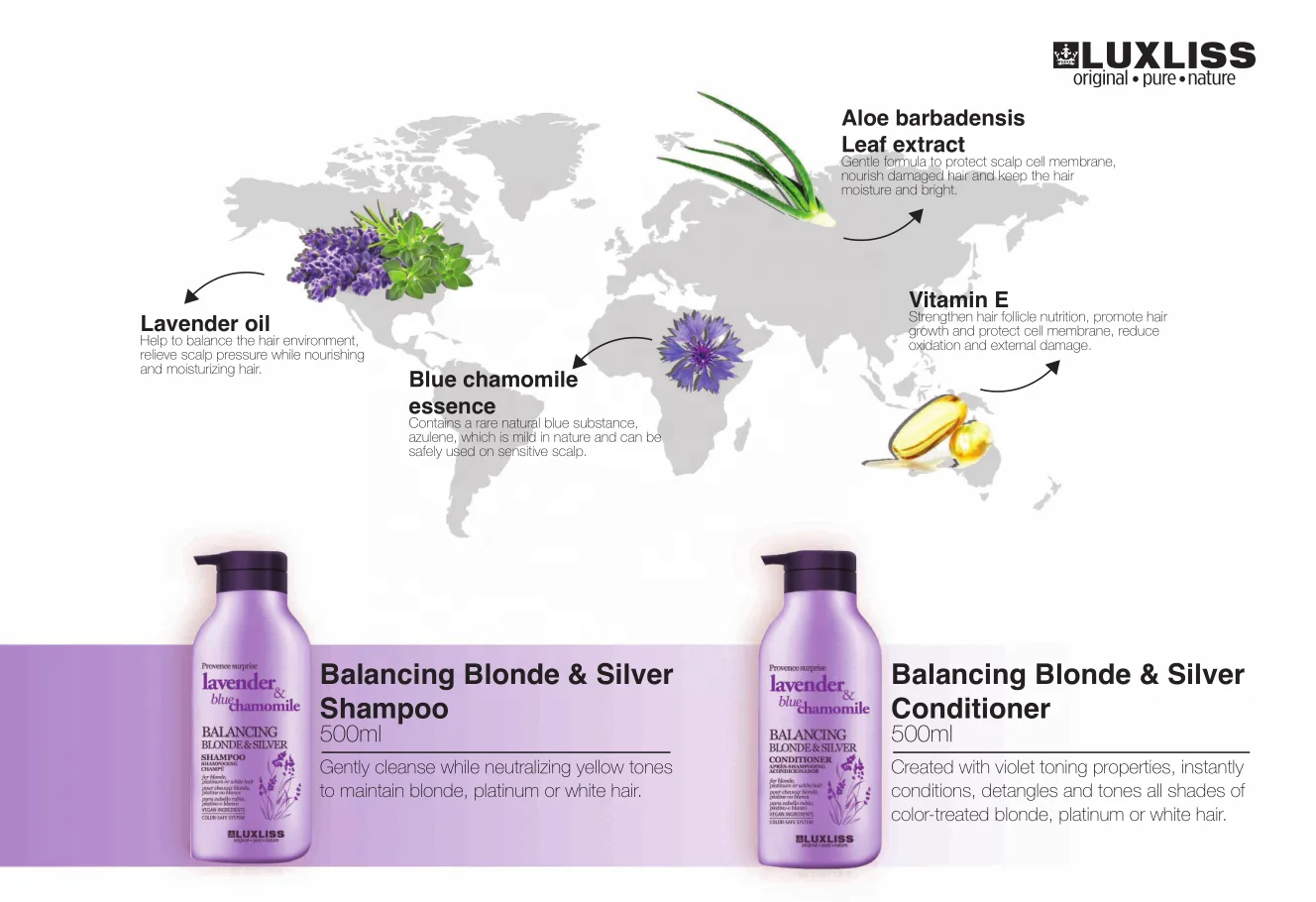 Source Purple shampoo blond&silver hair care shampoo Remove Yellow