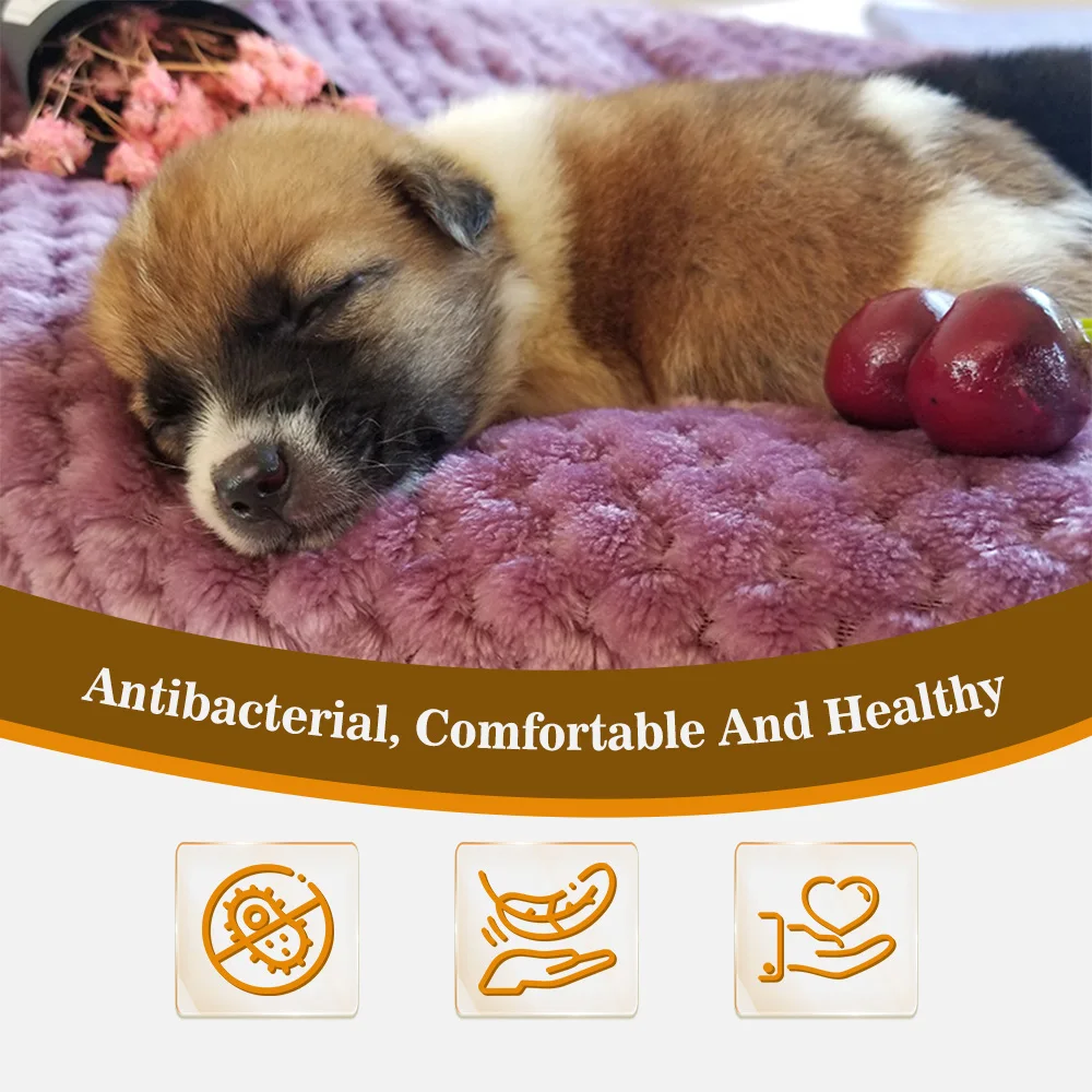 Wholesale Cat Dog Sleeping Cheap Blanket Factory Direct Comfortable Pe - product detail 2