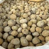 Geodi di Agata Bianca