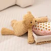 Petit ours couché