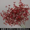 Branche de fleur de colza rouge