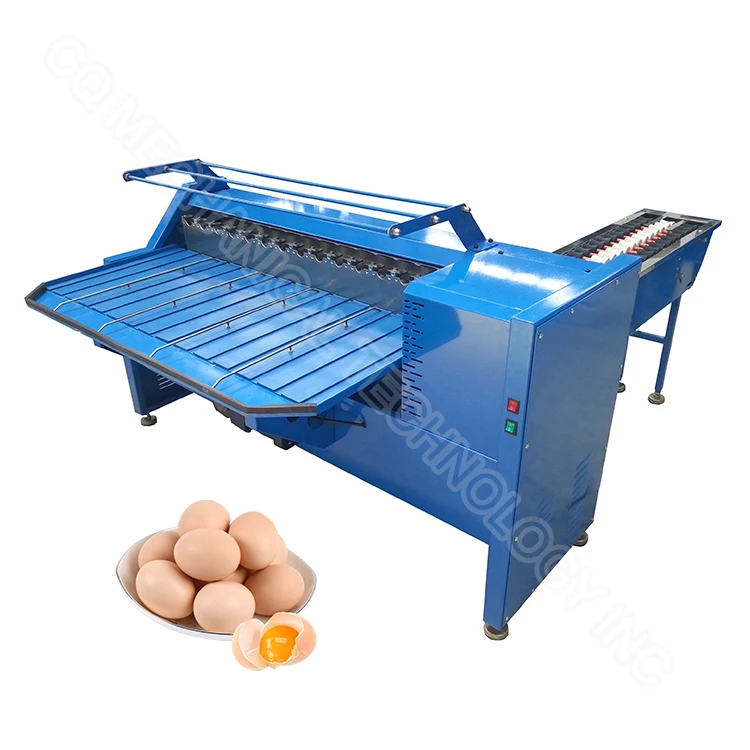 Egg Sorting Grading Machine Machine for Sorting Eggs Egg Grading Machine Price