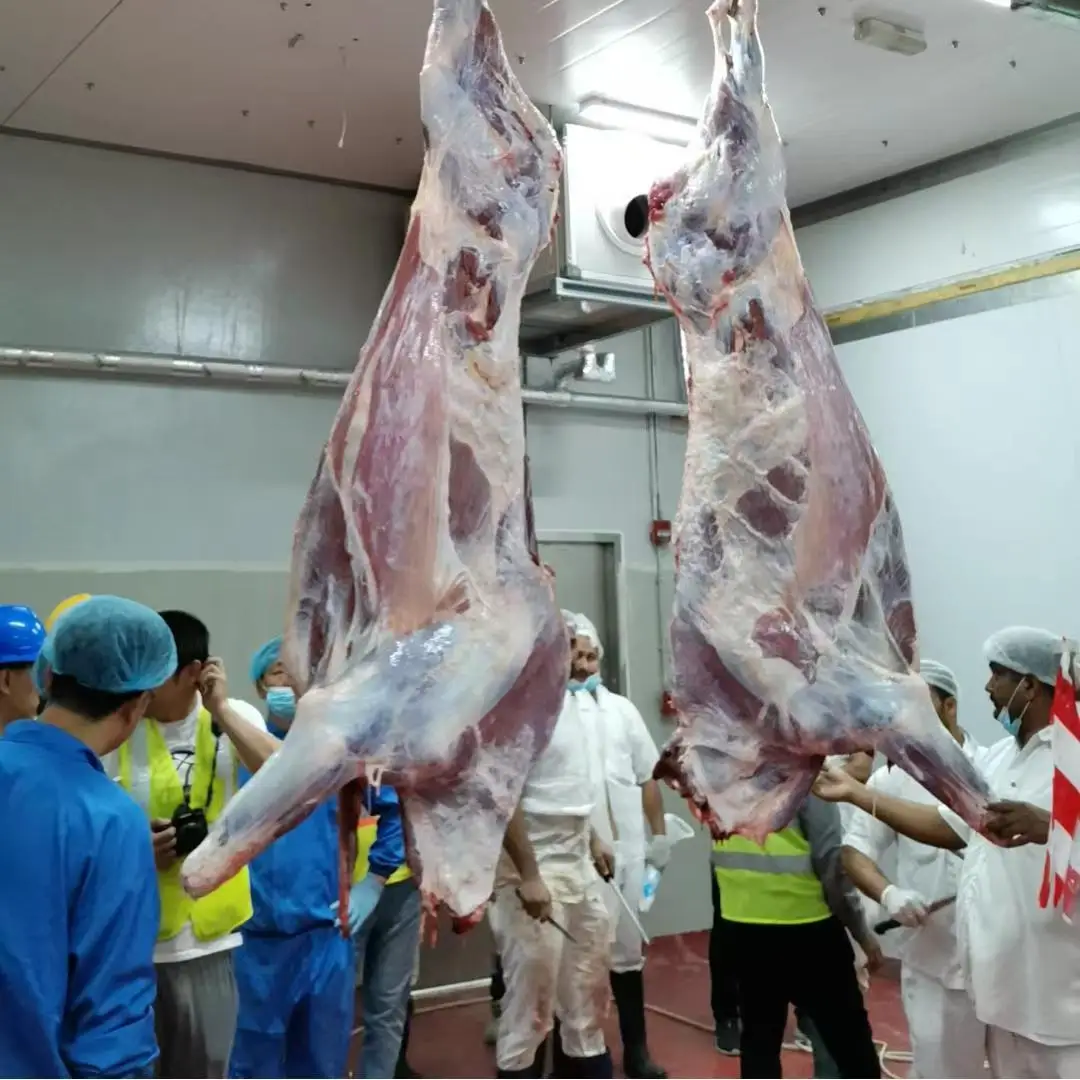 Advanced fully automatic sheep slaughtering production line equipment, steel slaughterhouse equipment for halal meat processing