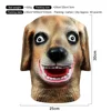 Brown Dog