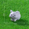 kitten