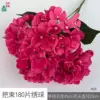 A bouquet of 180 hydrangea petals, HJX, rose red.