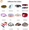 Collare per Cani Colorato