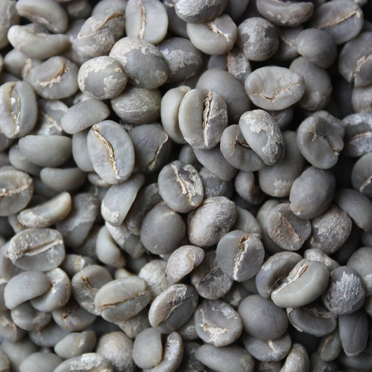 Оптовая продажа, горячая Распродажа, зеленый кофе в зернах Юньнань Арабика