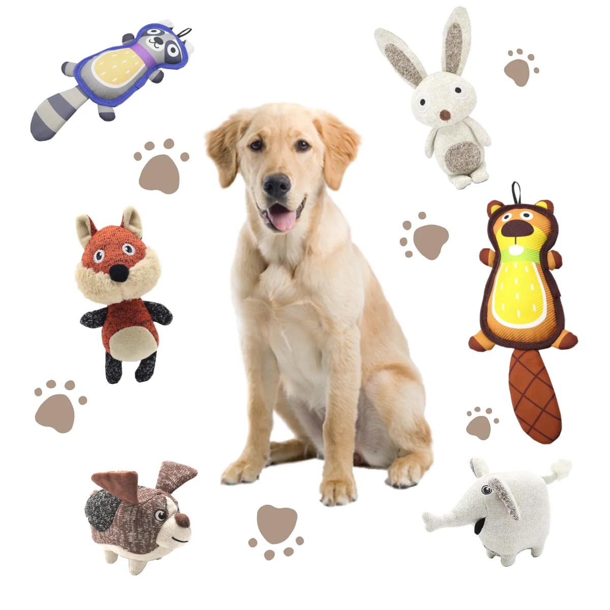 pet stock dog toys