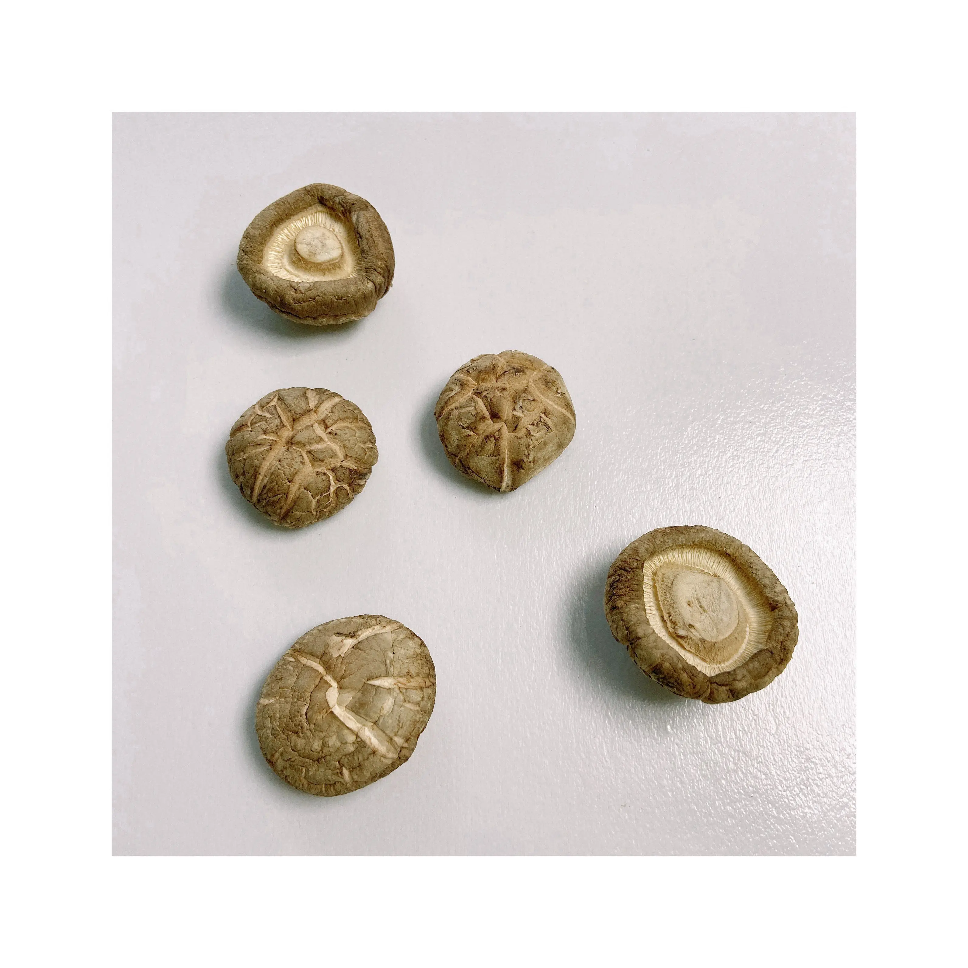 Китай, питательное и здоровое питание, высушенный гриб шиитаке с морской раковиной и трещинами