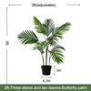 Palmier Areca vert de 3 pieds