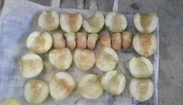 Avocado Seed Destoner Pitter Cutter Machine Peach Core Removing Pitting Machine