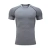 1008 Gris