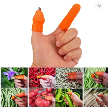 _20230424214238.png
