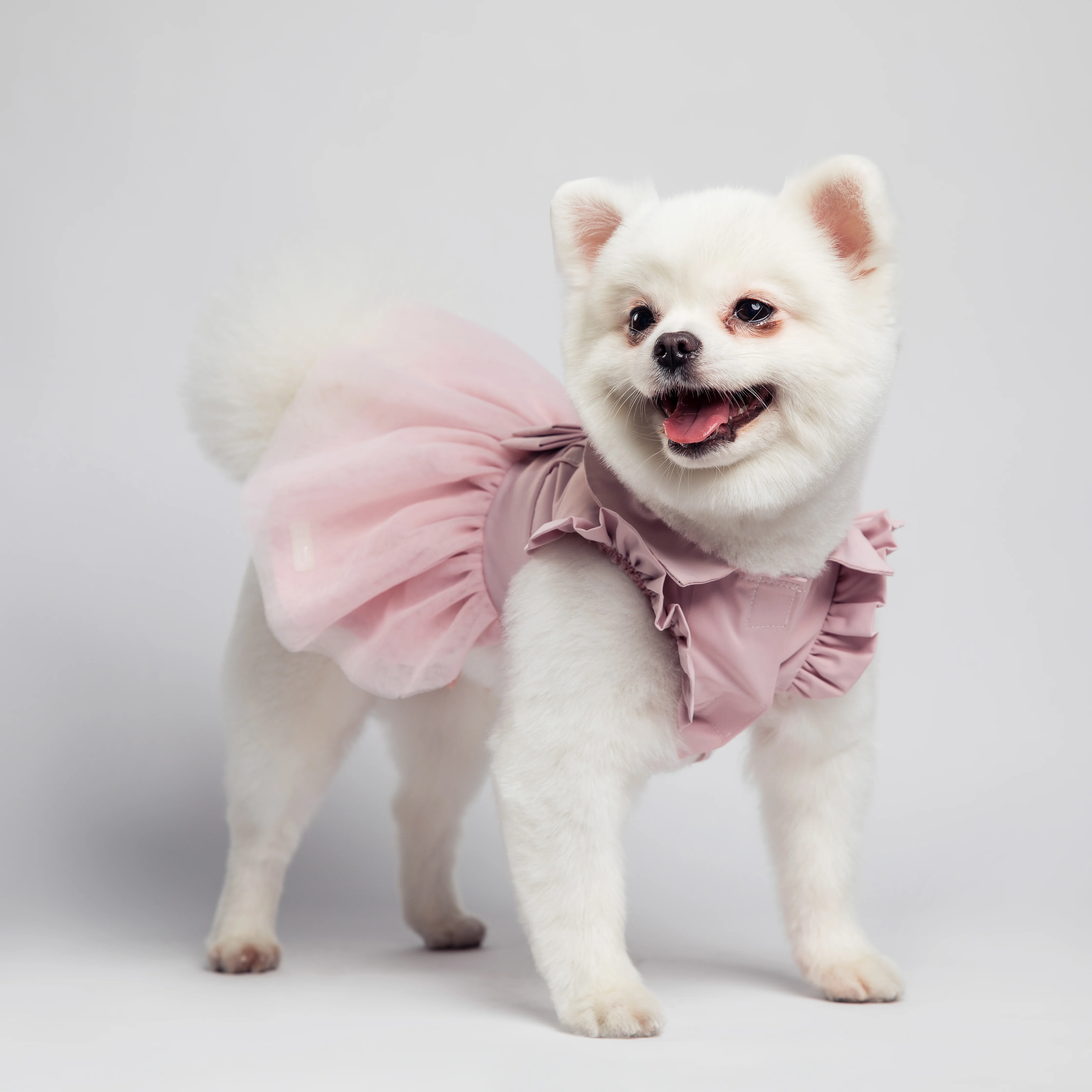 UFBemo Summer Spring Dogs Cute Dresses Dog Clothes Pet in New Design