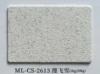 ML-CS-2613