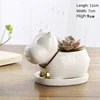 FP Hippo + Soporte