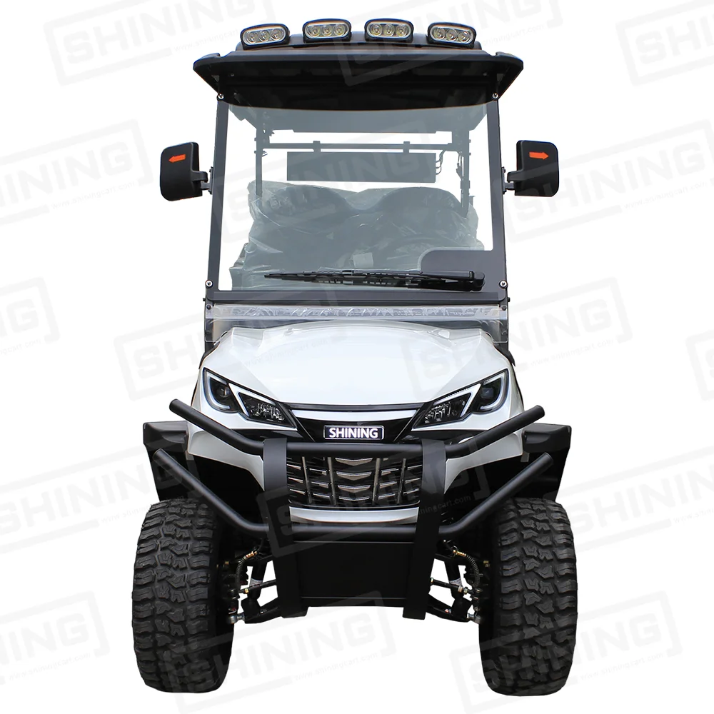 Shininglsv Electric 4-Passenger Chinese Golf Cart Single Cruiser for Canada Roads Manufactured in Japan