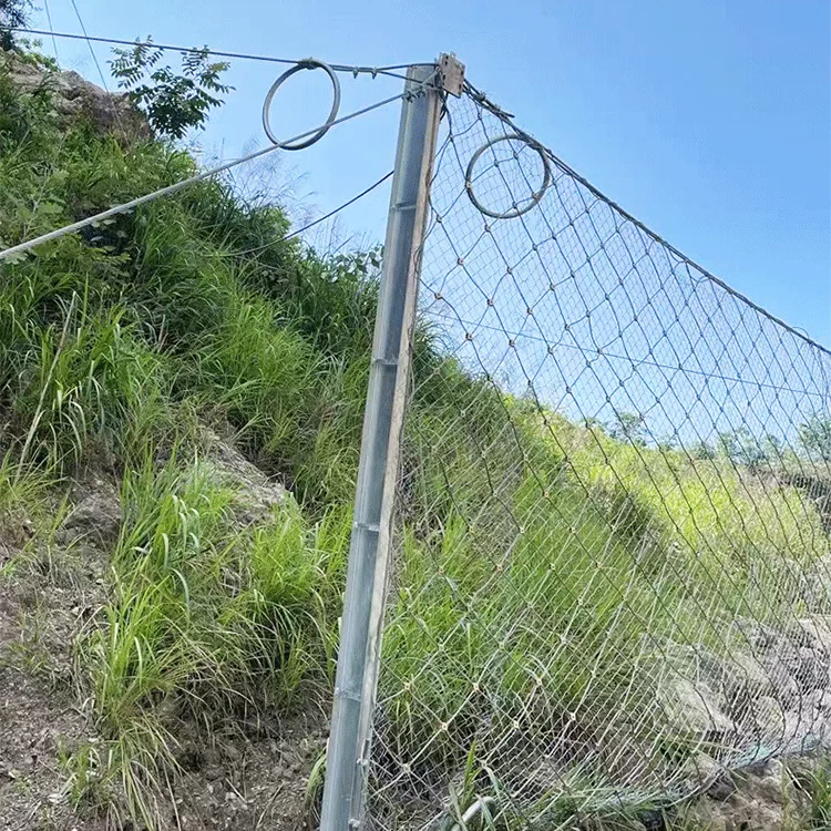 Scene image