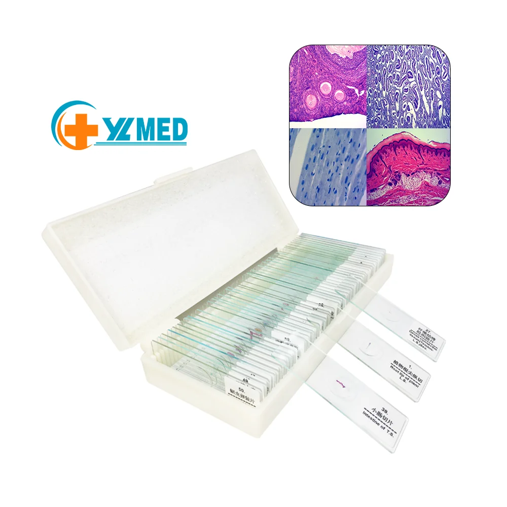 Preparation of Microscope Slides Maize Botanical Plants for Teaching and Research