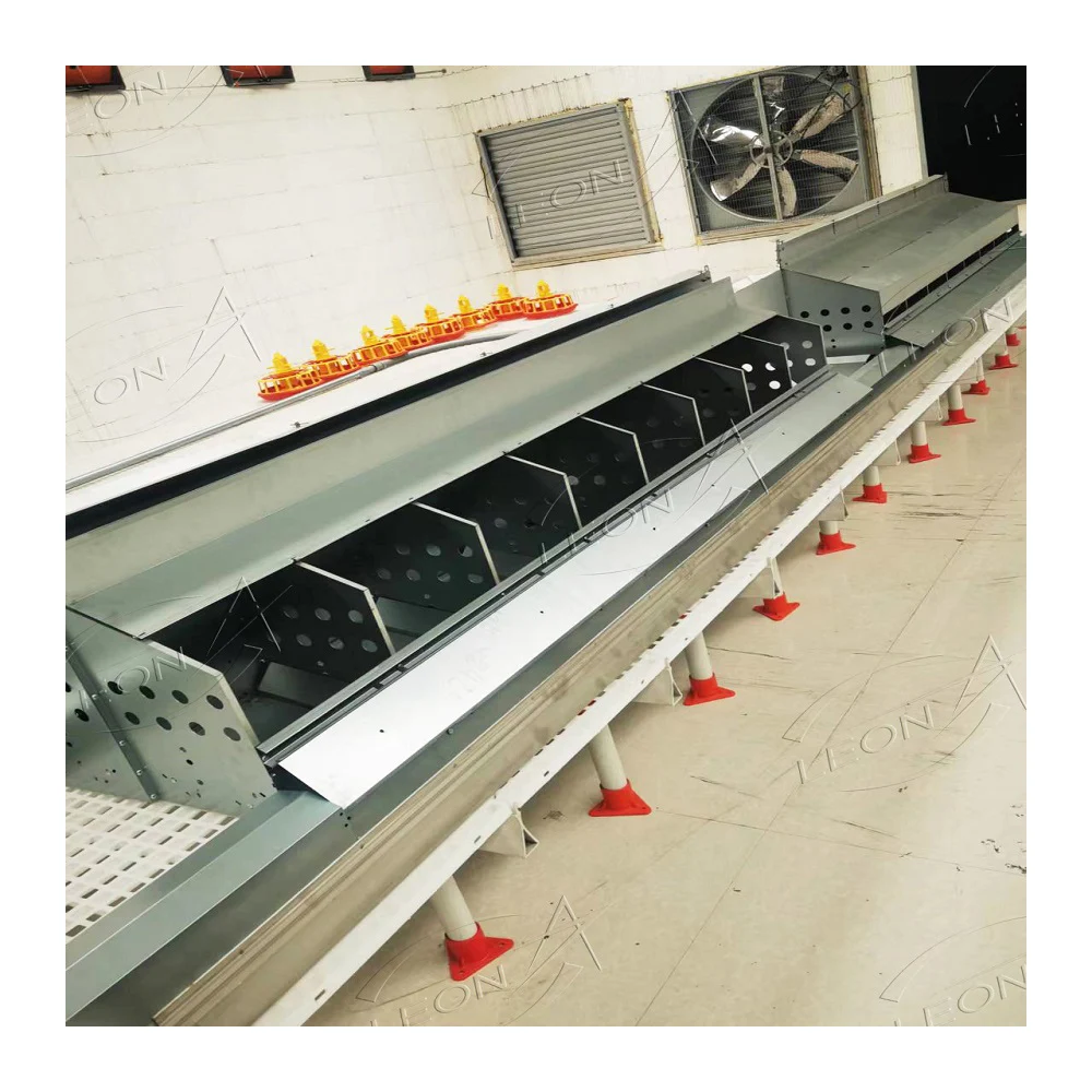 Automatic Chicken Chain Feeding System Poultry Feeder Chain Automatic Layer Poultry Equipment