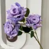 Louis xiv blue and purple