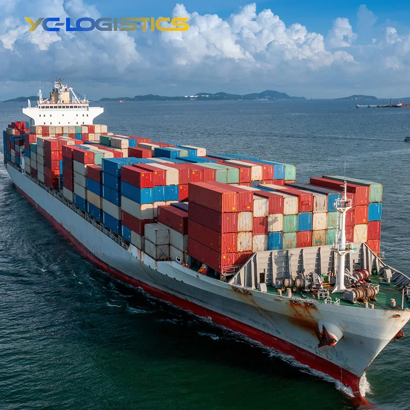 Inspection Service Professional China Shenzhen Swift International Logistics Raliway Train Shipping Agent From China to Brazil