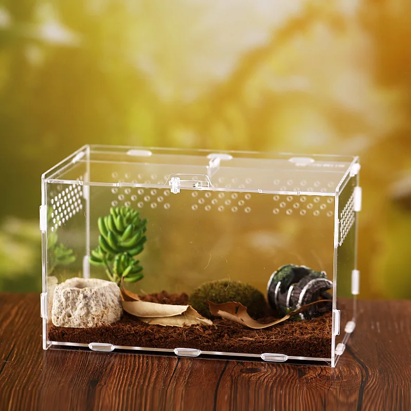 portable terrarium