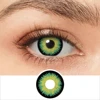 RY343/green black