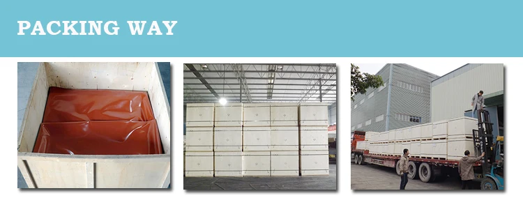 Chinese Pvc Red Mud Biogas Storage Bag Biogas Tank and 10m3 Pvc Biogas Digester