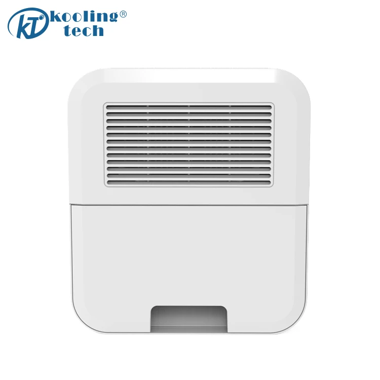 Thermoelectric Peltier Mini Electrical Dehumidifier with Hang Buckle for Closet or Wall