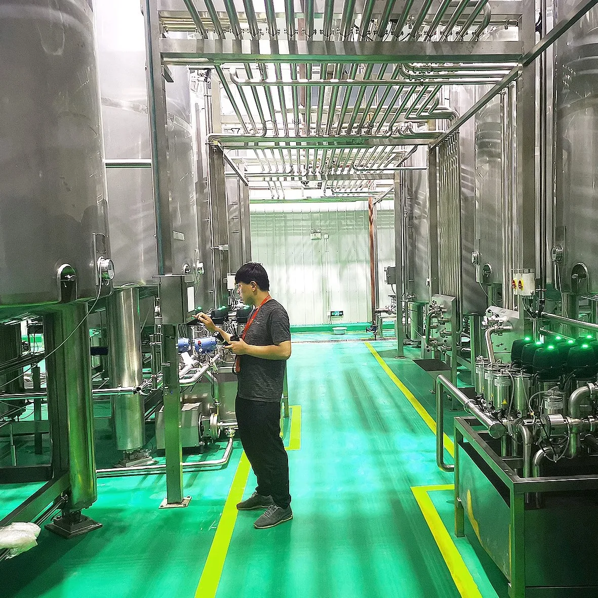 Palm Dates Processing Line - Efficient & Automatic Solutions