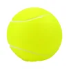 6,5 cm (2,56 pouces)