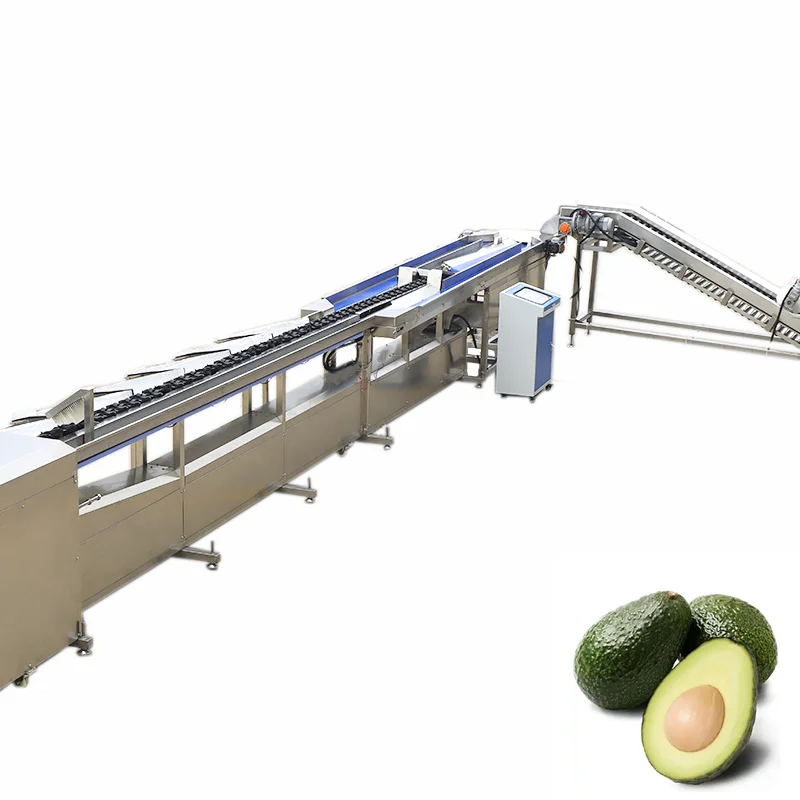 Avocado Automatic Citrus Clam Guava Chicken Bolt Candy mango Fruit Cleaning Sorting Machine