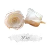 WHITE ROSE