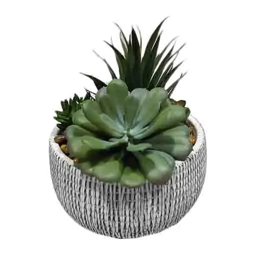 Customization Medium Artificial Succulent Plants For Modern Home Decor