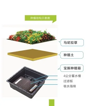 Green Roof Modular Tray System  Plastic Garden Tray Sedum Green Roof Tray