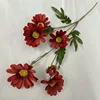 Long-stemmed 6-headed daisy