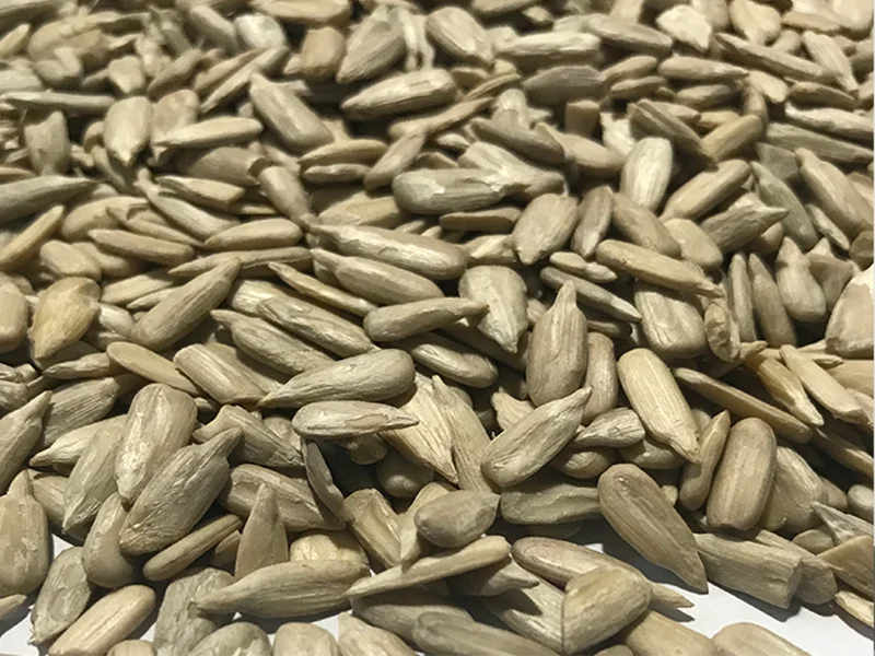 Sunflower Seeds Without Shell Full Of Nutrition Pure Candy Snack Bakery