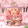 Sakura Scenery