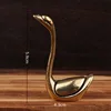 swan