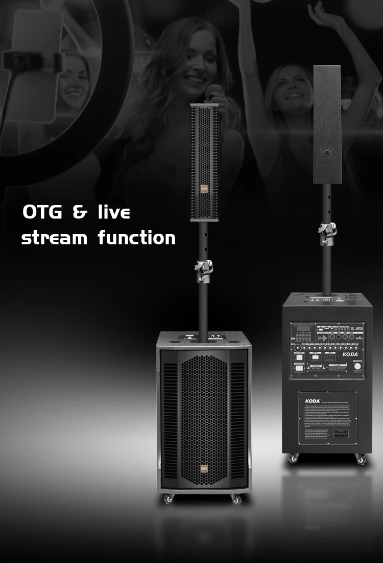 Hot Selling Column Speakers Professional Speaker Active Outdoor Speaker