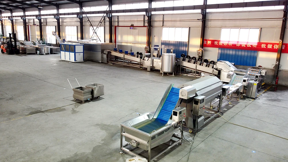 Automatic French Fries Processing Line factory