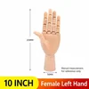 10 Inch [25cm] Female Left Hand