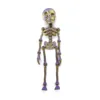 Estilo magnético de esqueleto de calavera-gradiente zijin