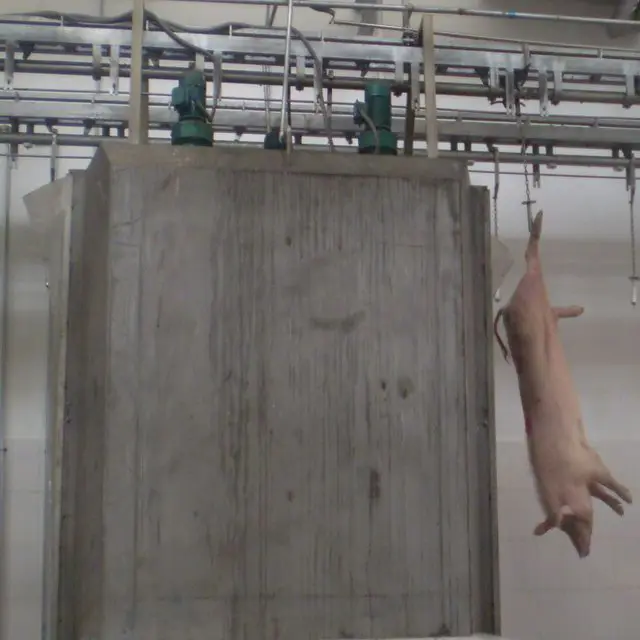 Pig house cleaning machine is used in pig farm slaughterhouse equipment:
