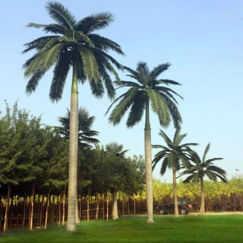 Coconut Trees for Sale Large Palm Tree Decoration Tree Artificial