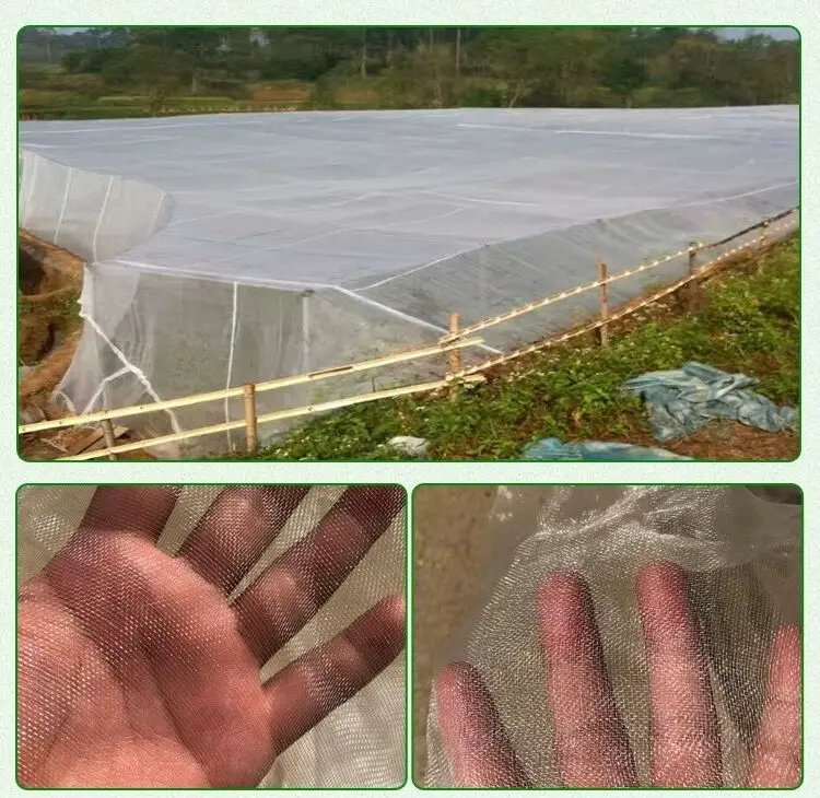Greenhouse Cover