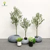 olive tree60cm